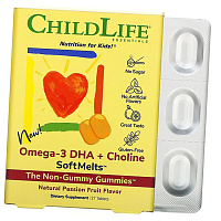 Омега 3 с Холином для детей, Omega-3 DHA + Choline, ChildLife