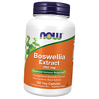 Boswellia Extract Now Foods