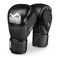 Боксерские перчатки RIOT Pro PHBG2540
