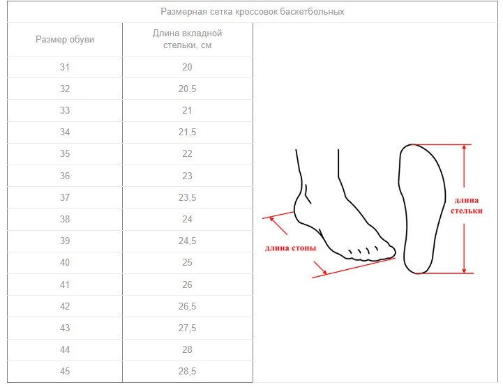 Размеры баскетбольных кроссовок