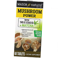Грибы для Здоровья мозга и клеток, Mushroom Power, Mason Natural
