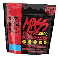 Гейнер Mass XXXTreme 2500