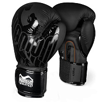 Боксерские перчатки Germany Eagle PHBG2323