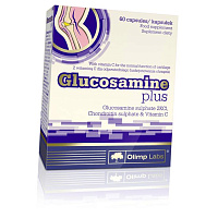 Glucosamine Plus
