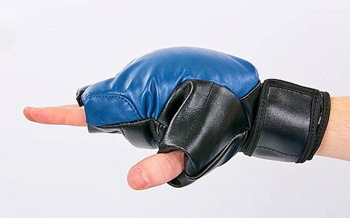 Перчатки для рукопашного боя Boxer 2020 (L Сине-черный )