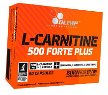 L-Carnitine 500 forte