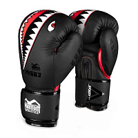 Боксерские перчатки APEX Fight Squad Schwarz PHBG2216
