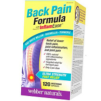Формула против боли в спине, Back Pain Formula, Webber Naturals