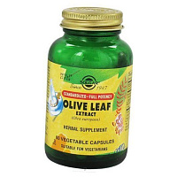 Экстракт Оливкового Листа, Olive Leaf Extract, Solgar