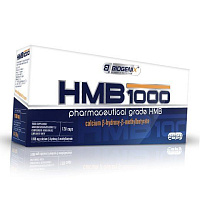 HMB 1000