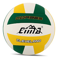Мяч волейбольный Cleveland Corbes VB-9021 купить